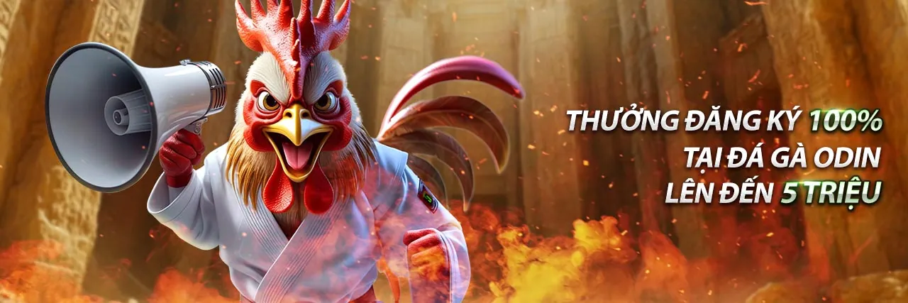 Giao diện đăng nhập an toàn của ST666