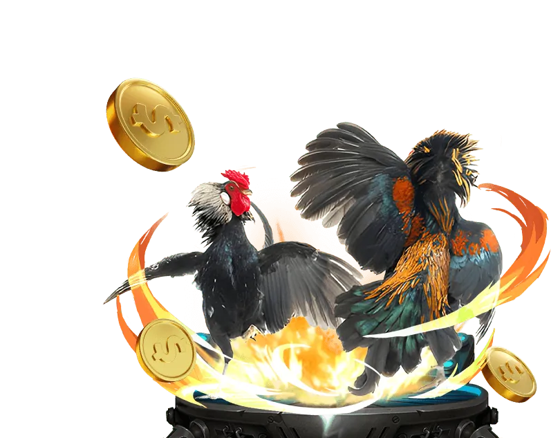 Cá cược thể thao tại ST666