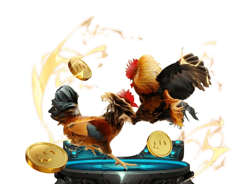 Đá gà trực tuyến ST666